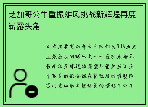 芝加哥公牛重振雄风挑战新辉煌再度崭露头角